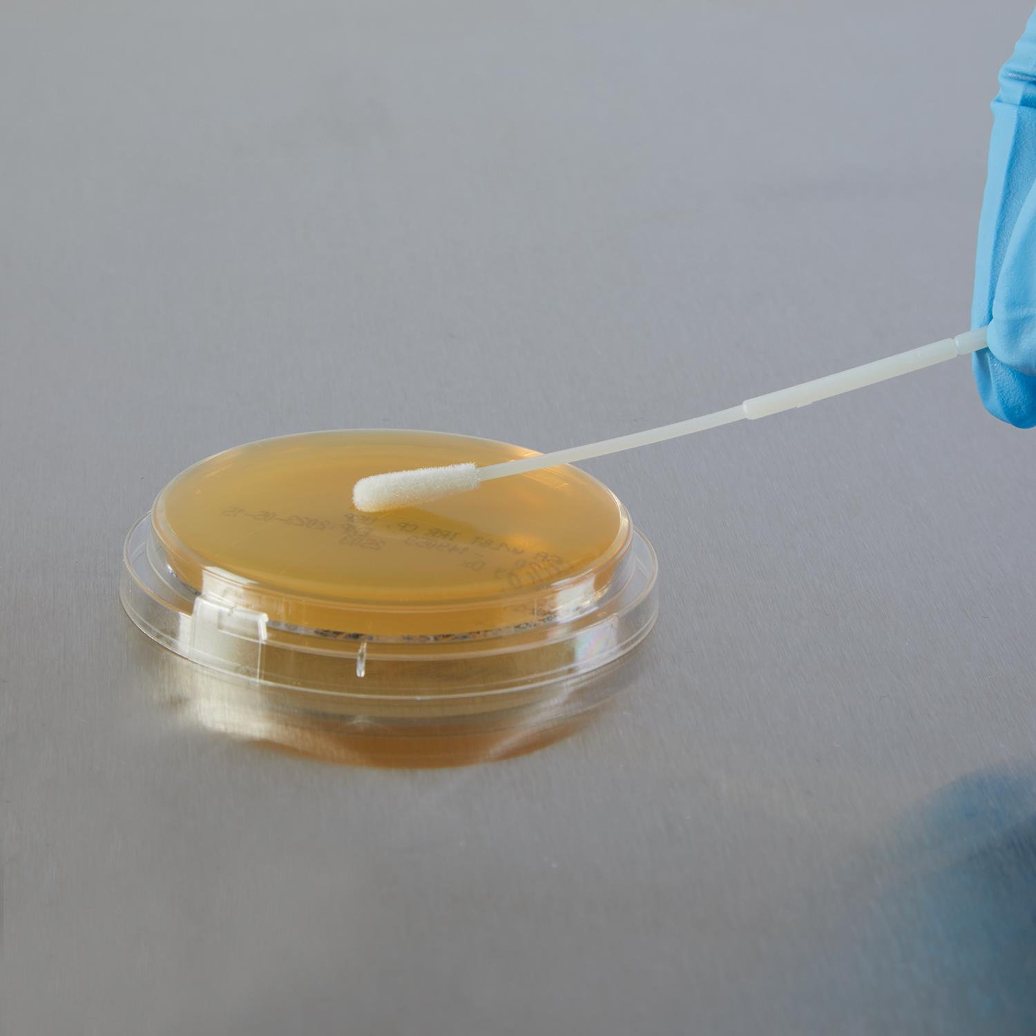 Irradiated Tryptic Soy Agar Contact Plates, 65mm - 20938 - Health