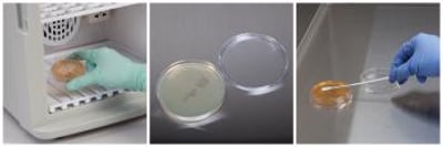 09022022blog contactplates