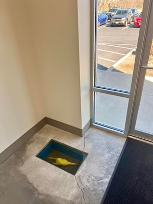 Rubber chicken entombment